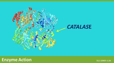 CATALASE Enzyme Action 012-10969 r1.04. The Snapshot button is used to capture the screen. The Journal is where snapshots are stored and viewed. The Share.