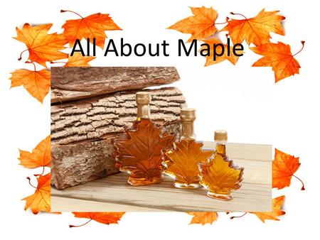 All About Maple. Find A Maple Woods To Tap Make sure you identify a maple tree not a cherry tree or another kind of tree Make sure the trees you are going.
