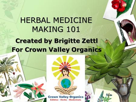 HERBAL MEDICINE MAKING 101 Created by Brigitte Zettl For Crown Valley Organics.