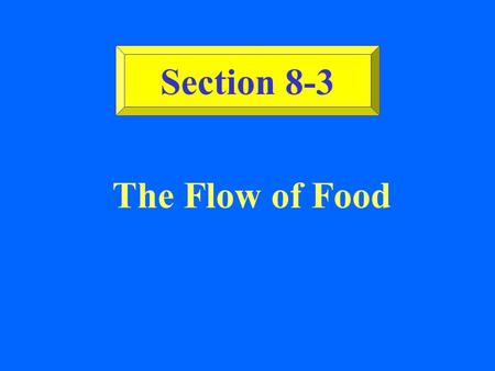 Section 8-3 The Flow of Food.