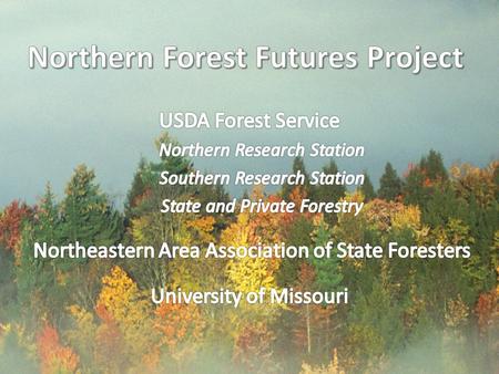 Northern Forest Futures A window on tomorrow's forests Revealing how today's trends and choices can change the future landscape of the North Collaborative.