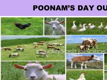 POONAM’S DAY OUT.