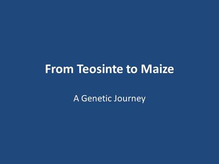 From Teosinte to Maize A Genetic Journey. Scientific name: Zea mays spp. parviglumis.