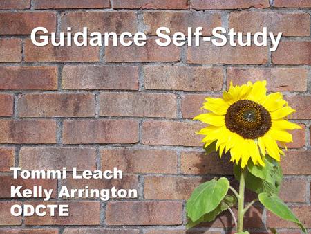 Guidance Self-Study Tommi Leach Kelly Arrington ODCTE.