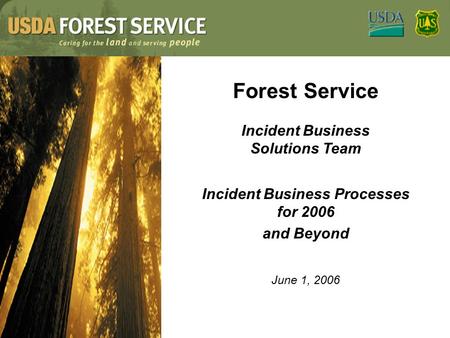 Forest Service Incident Business Solutions Team Incident Business Processes for 2006 and Beyond June 1, 2006.