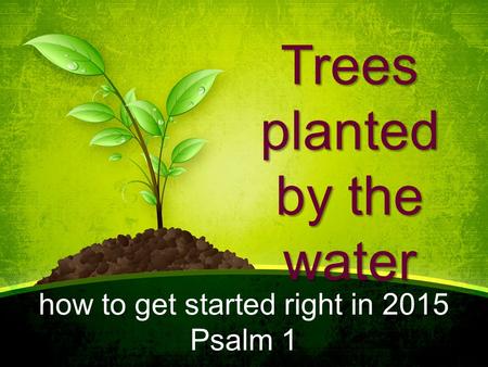Trees planted by the water how to get started right in 2015 Psalm 1.