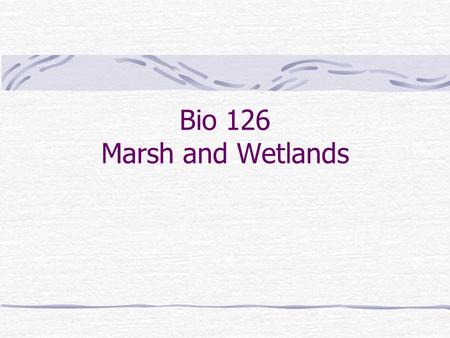 Bio 126 Marsh and Wetlands. Current state: In California we have lost 90% of our wetlands – Much of the Great Central valley was a seasonal marsh – Our.
