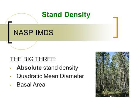 NASP IMDS Stand Density THE BIG THREE: Absolute stand density Quadratic Mean Diameter Basal Area.