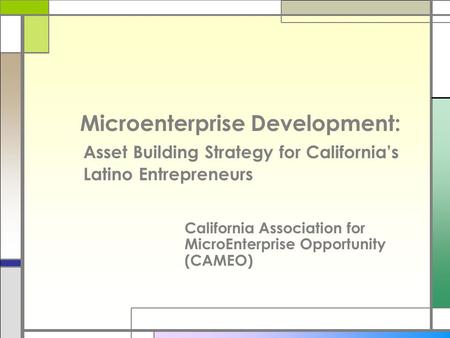 Microenterprise Development: Asset Building Strategy for California’s Latino Entrepreneurs California Association for MicroEnterprise Opportunity (CAMEO)