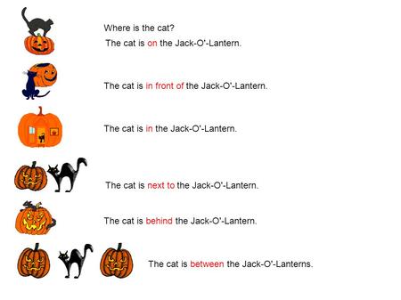 Where is the cat? The cat is on the Jack-O'-Lantern. The cat is in front of the Jack-O'-Lantern. The cat is in the Jack-O'-Lantern. The cat is next to.