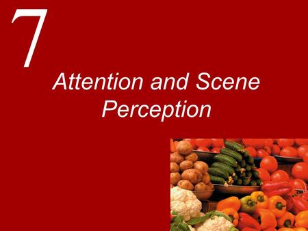7 Attention and Scene Perception. Introduction Attention: Any of the very large set of selective processes in the brain To deal with the impossibility.