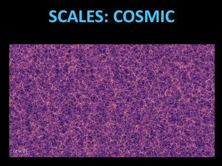 SCALES: COSMIC. GALAXY BASICS Bright galaxies tend to have one of two shapes. Spiral 1) Spiral galaxies, like the Andromeda Galaxy and the Whirlpool.