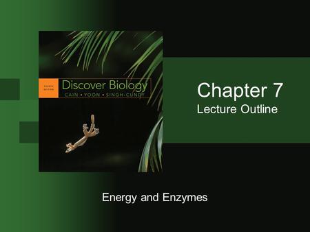 Energy and Enzymes Chapter 7 Lecture Outline. © 2009 W.W. Norton & Company, Inc. DISCOVER BIOLOGY 4/e 2 Energy in Living Systems Metabolism is the sum.
