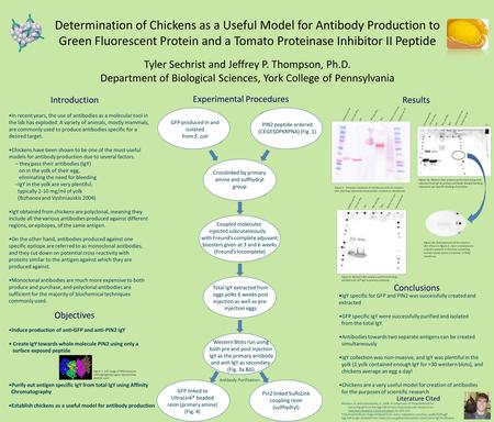 Introduction Determination of Chickens as a Useful Model for Antibody Production to Green Fluorescent Protein and a Tomato Proteinase Inhibitor II Peptide.