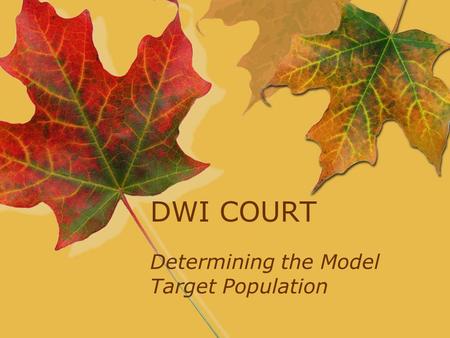 DWI COURT Determining the Model Target Population.