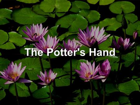The Potter's Hand. Beautiful Lord, wonderful Saviour I know for sure all of my days are held in Your hand Crafted into Your perfect plan Beautiful Lord,