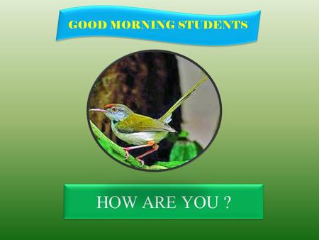HOW ARE YOU ? GOOD MORNING STUDENTS IDENTITY Teacher Lesson SK.Md. Harununar Rashid Senior Assit: Teacher Sonatola Model High School Sonatola, Bogra.