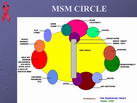 MSM CIRCLE. Clinic Counseling Centre Safe Sailors Club (Positive Peoples Group) The Clinic, Counseling Centre and the Care & Support Components work in.