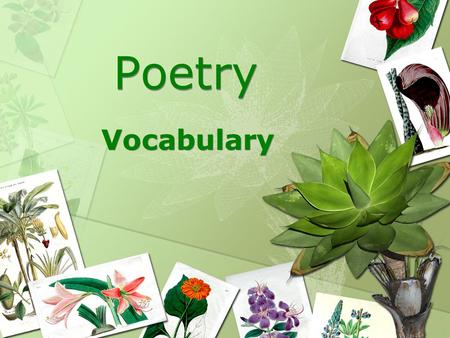 Poetry Vocabulary.