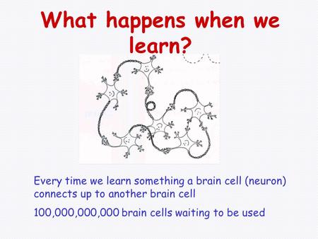 What happens when we learn? Every time we learn something a brain cell (neuron) connects up to another brain cell 100,000,000,000 brain cells waiting.