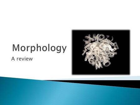 Morphology A review.