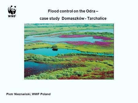 Flood control on the Odra – case study Domaszków - Tarchalice