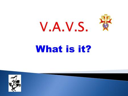 What is it?. The Department of Veterans Affairs Voluntary Service (VAVS) was founded in 1946 to provide for our nation's veterans while they are cared.
