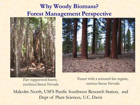 Why Woody Biomass? Forest Management Perspective Malcolm North, USFS Pacific Southwest Research Station, and Dept of Plant Sciences, U.C. Davis Fire suppressed.