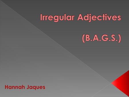 Normally when describing a noun, the adjective comes after it: La table brune. Irregular adjectives are adjectives that come before the noun it is describing: