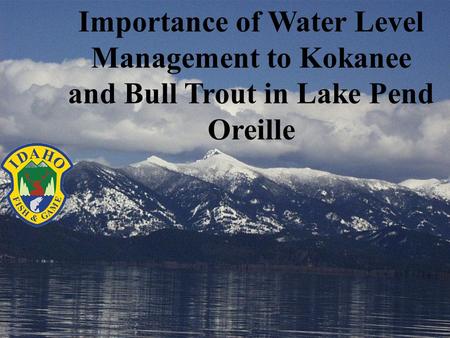 Importance of Water Level Management to Kokanee and Bull Trout in Lake Pend Oreille.