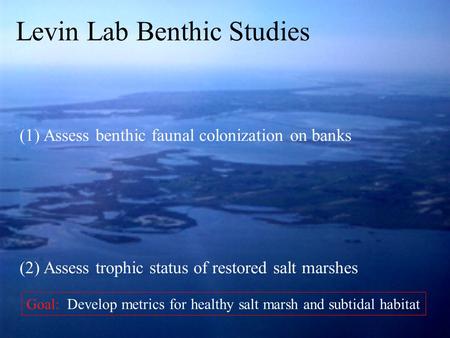 (1) Assess benthic faunal colonization on banks (2) Assess trophic status of restored salt marshes Levin Lab Benthic Studies Goal: Develop metrics for.