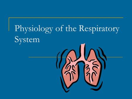 Physiology of the Respiratory System