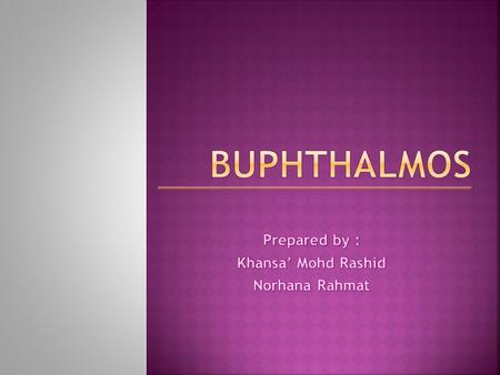 Prepared by : Khansa’ Mohd Rashid Norhana Rahmat
