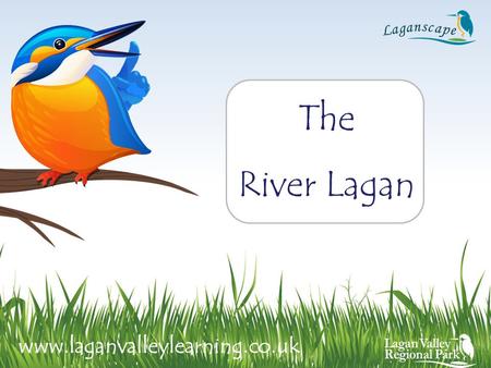 The River Lagan www.laganvalleylearning.co.uk.