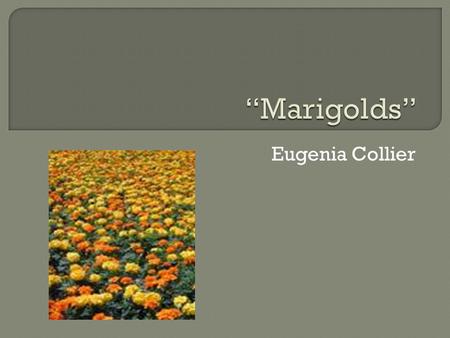 marigolds summary by eugenia collier