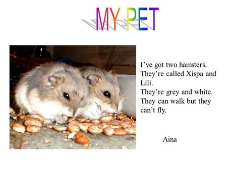 I’ve got two hamsters. They’re called Xispa and Lili. They’re grey and white. They can walk but they can’t fly. Aina.
