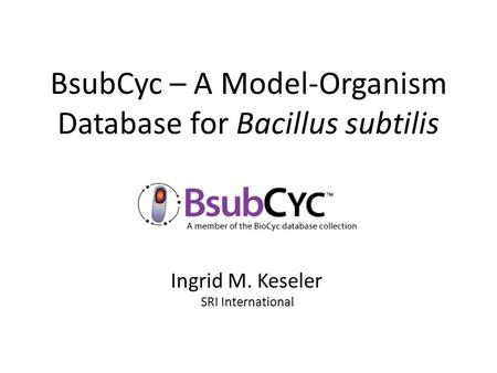 BsubCyc – A Model-Organism Database for Bacillus subtilis Ing Ingrid M. Keseler SRI International.