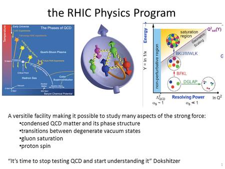 The RHIC Physics Program 1 A versitile facility making it possible to study many aspects of the strong force: condensed QCD matter and its phase structure.