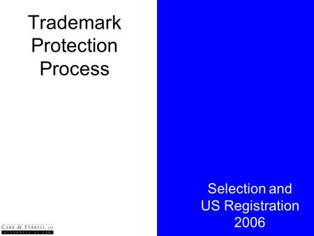 Trademark Protection Process Selection and US Registration 2006.