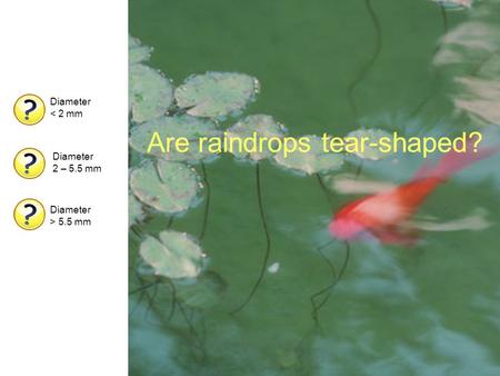 Are raindrops tear-shaped? Diameter < 2 mm Diameter 2 – 5.5 mm Diameter > 5.5 mm.
