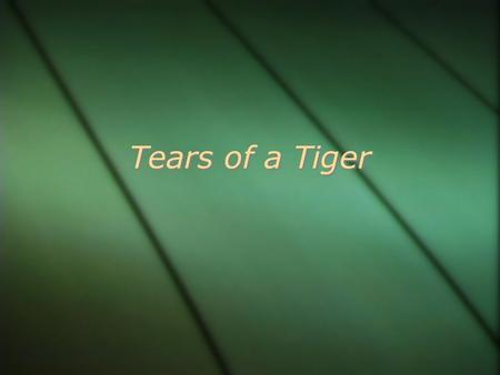 Tears of a Tiger.  What do you think Tears of a Tiger will be about based on the title?  Book Walk-through  What do you think Tears of a Tiger will.