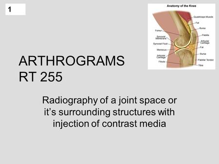 1 ARTHROGRAMS RT 255 Radiography of a joint space or it’s surrounding structures with injection of contrast media.