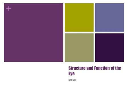 Structure and Function of the Eye