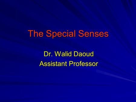 The Special Senses Dr. Walid Daoud Assistant Professor.