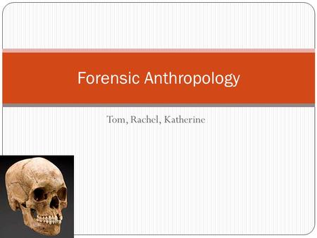 Tom, Rachel, Katherine Forensic Anthropology. Introduction The main bones we’re interested in: *Cranium/Skull *Pelvis *Tibia *Femur *Humerus.
