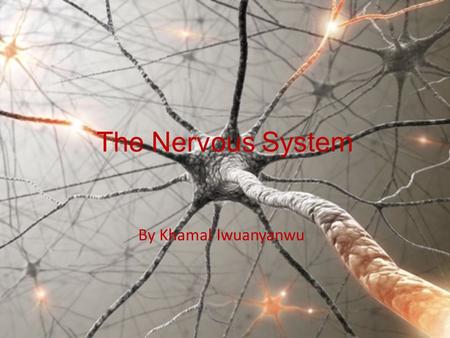 The Nervous System By Khamal Iwuanyanwu. Nervous System The Nervous System is the part of the body which controls its voluntary and involuntary actions.