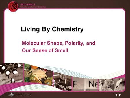Molecular Shape, Polarity, and Our Sense of Smell