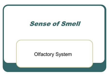 Sense of Smell Olfactory System. SMELL Smell is the most primitive sense Evokes memories Most animals use smell to distinguish good from bad In humans,