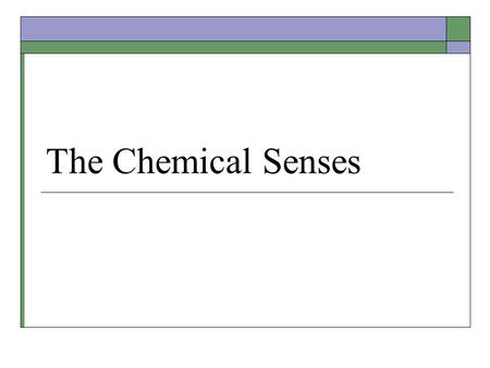 The Chemical Senses. Chemoreceptors  Chemically sensitive cells located throughout the body to monitor: Irritating chemicals on skin or in mucus Ingested.