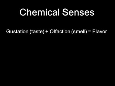 Chemical Senses Gustation (taste)+ Olfaction (smell) = Flavor.